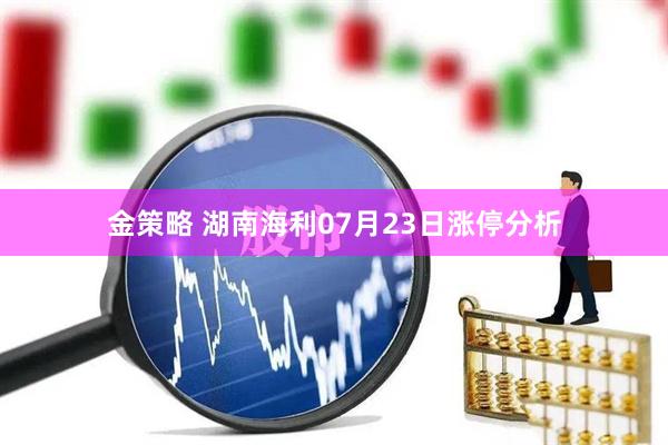 金策略 湖南海利07月23日涨停分析