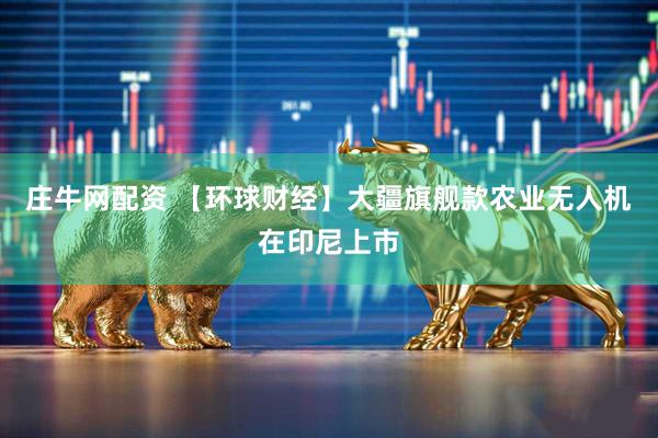 庄牛网配资 【环球财经】大疆旗舰款农业无人机在印尼上市